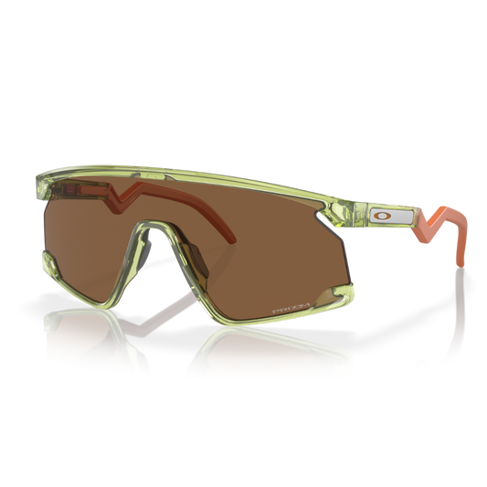 BXTR Trans Fern