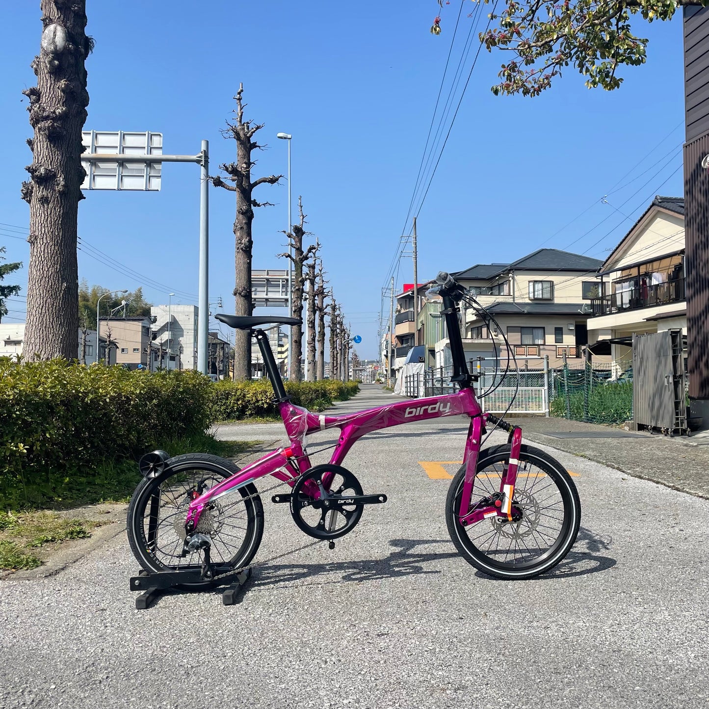 birdy standard Purple [Demo Bike]