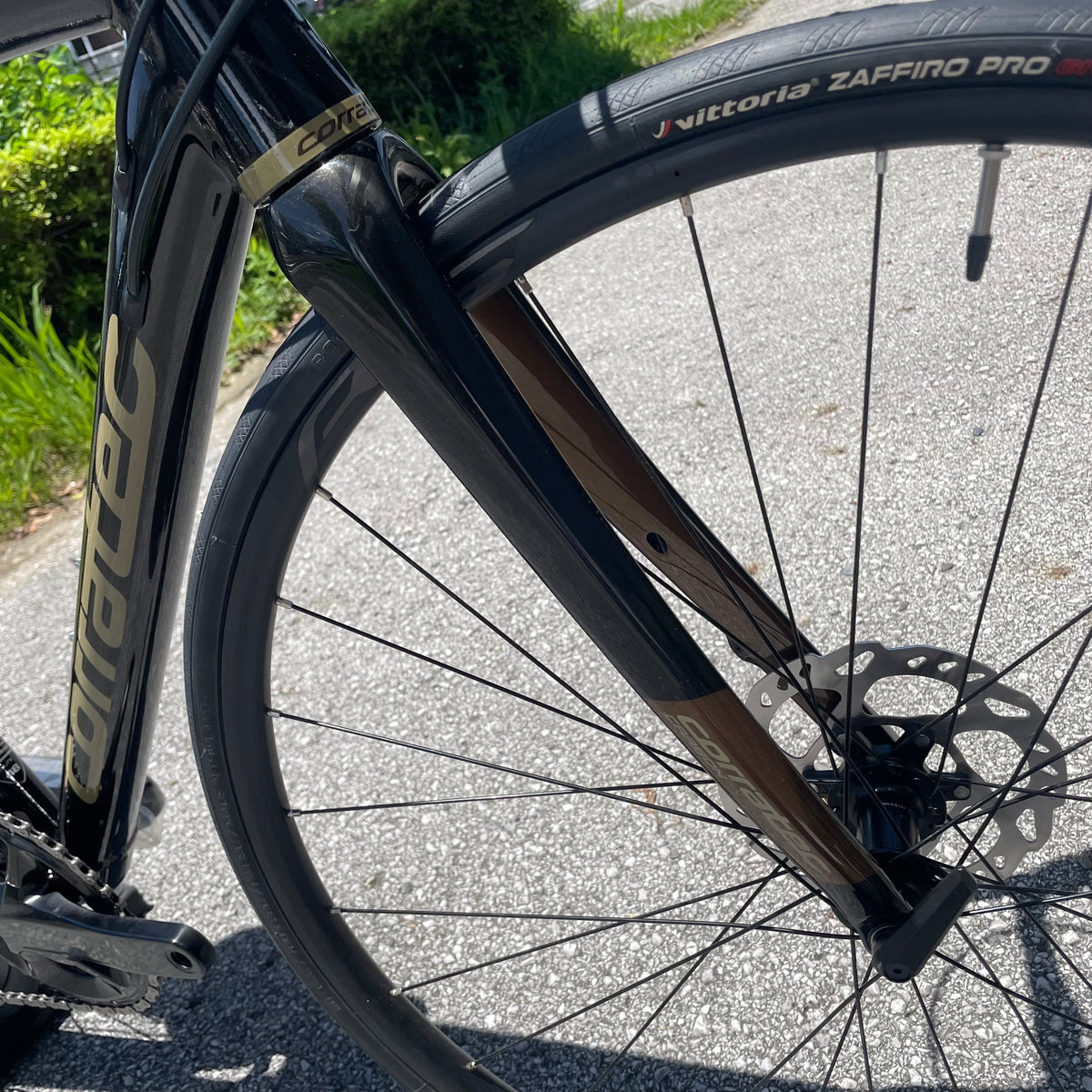 DOLOMITI DISC