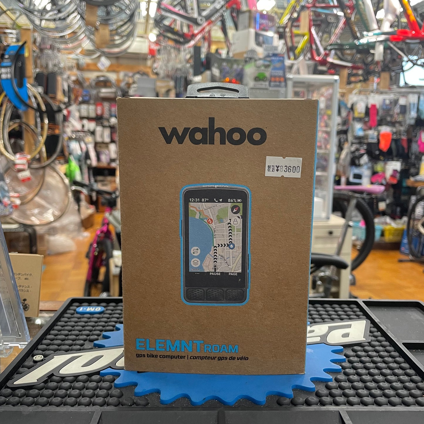 ELEMNT ROAM 3
